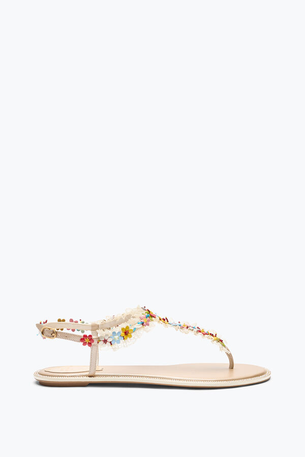 jeweled bloom nude flat sandal 10 rene caovilla