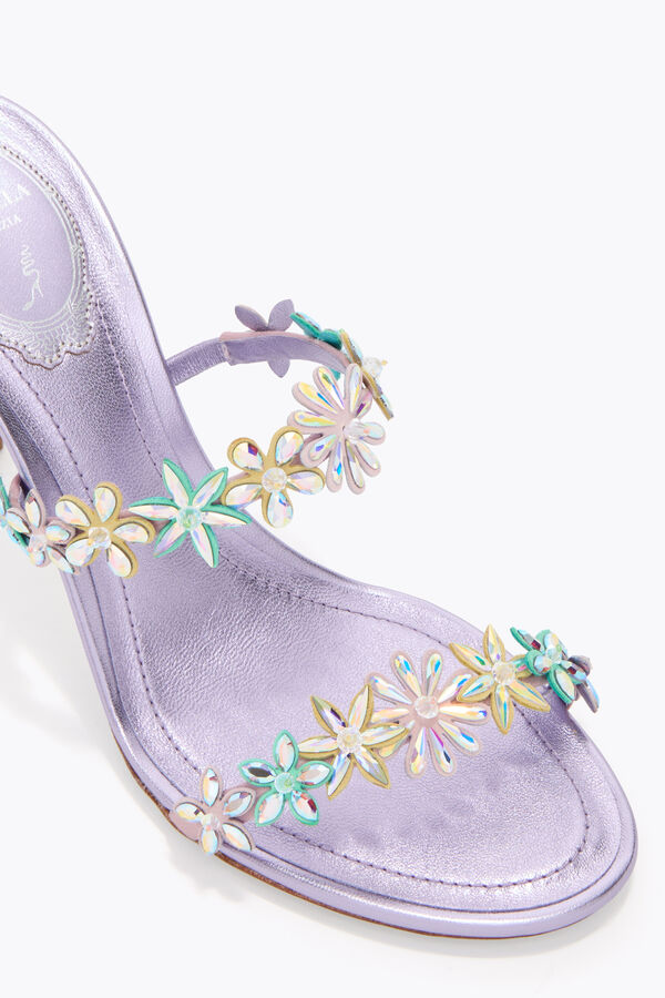 jeweled eva flieder mule 80 rene caovilla