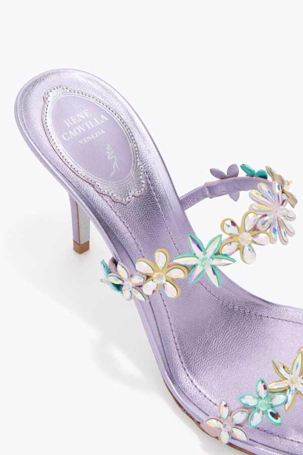 jeweled eva flieder mule 80 rene caovilla