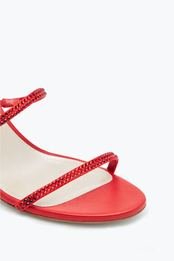 jeweled cleo rot sandale 80 rene caovilla