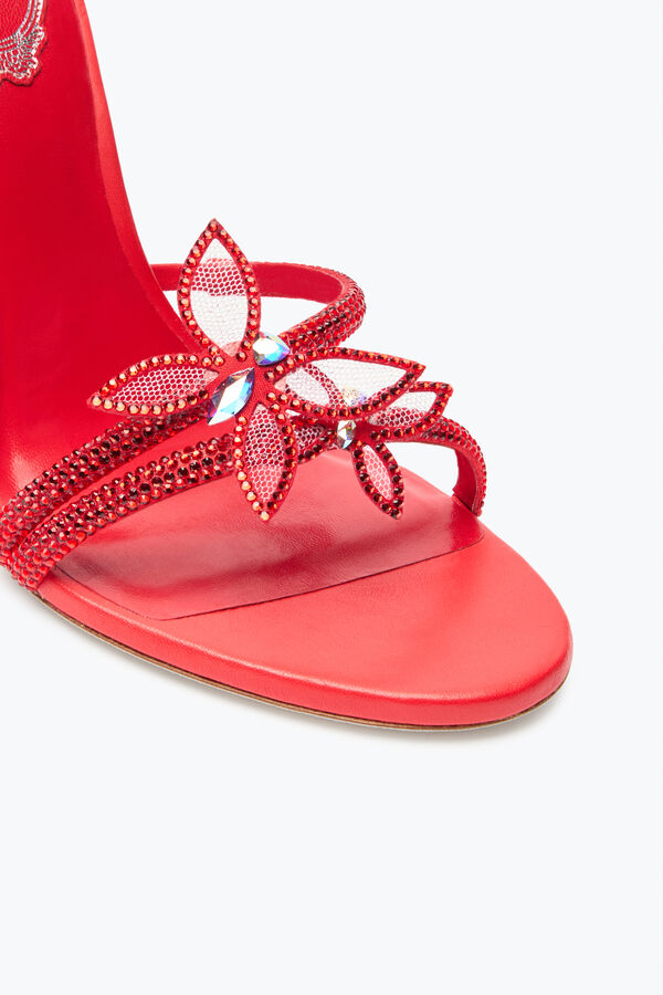 jeweled margot red butterfly sandal 105 rene caovilla