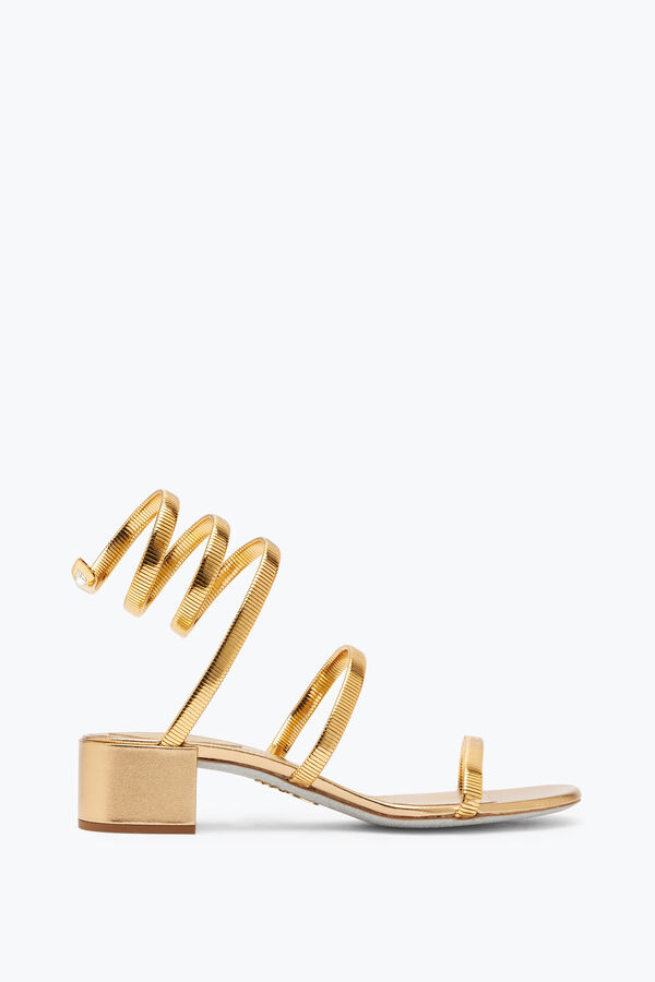 jeweled juniper metallic gold sandale 40 rene caovilla