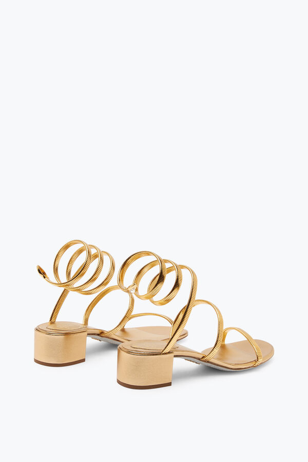 jeweled juniper metallic gold sandale 40 rene caovilla