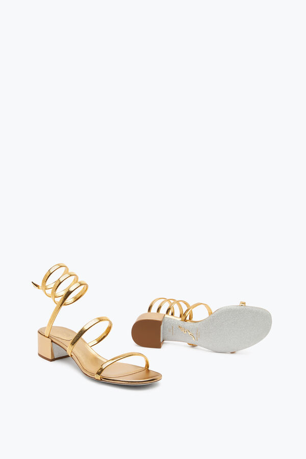 jeweled juniper metallic gold sandale 40 rene caovilla