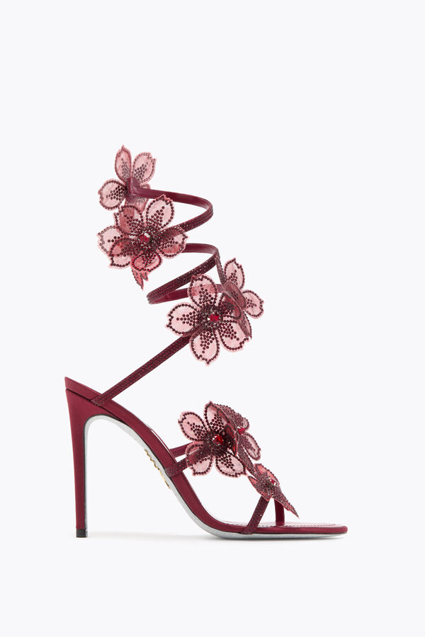 jeweled pfirsich blume burgund sandal 105 rene caovilla