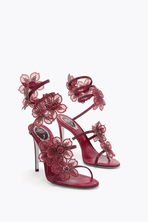 jeweled pfirsich blume burgund sandal 105 rene caovilla
