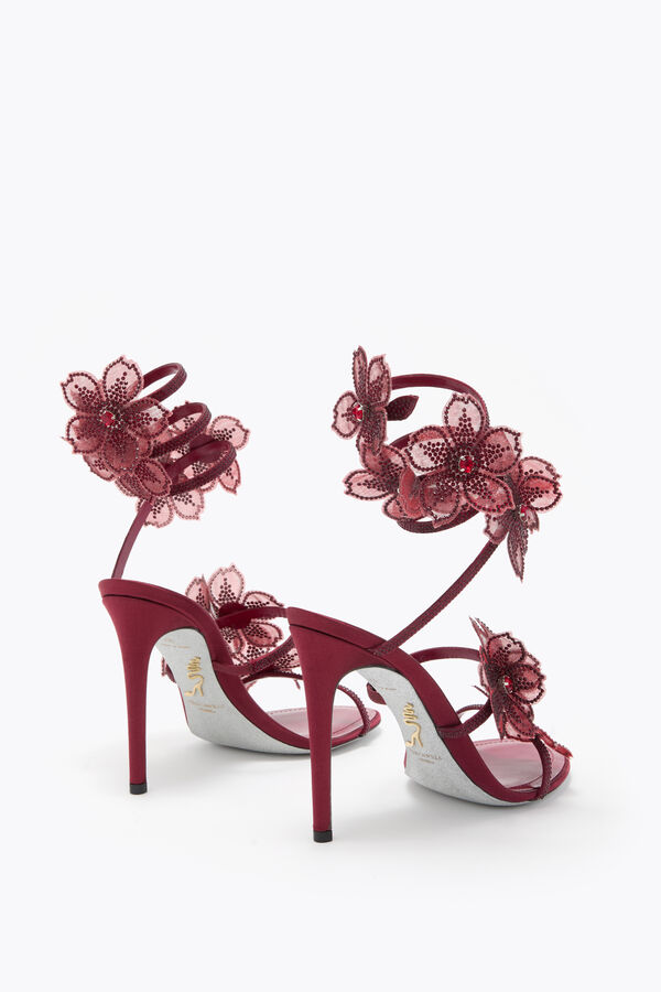 jeweled pfirsich blume burgund sandal 105 rene caovilla
