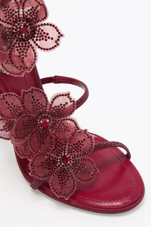 jeweled pfirsich blume burgund sandal 105 rene caovilla