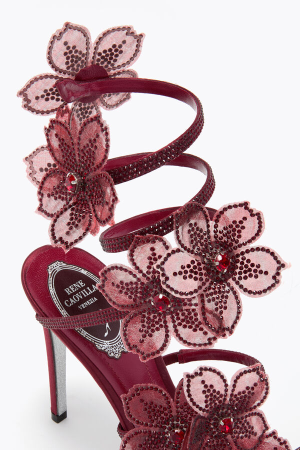 jeweled pfirsich blume burgund sandal 105 rene caovilla