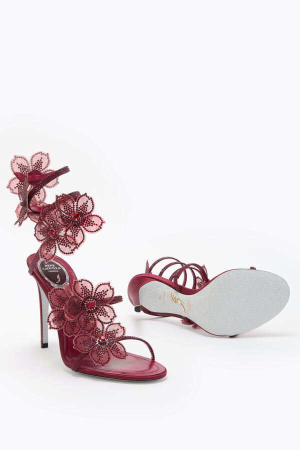 jeweled pfirsich blume burgund sandal 105 rene caovilla