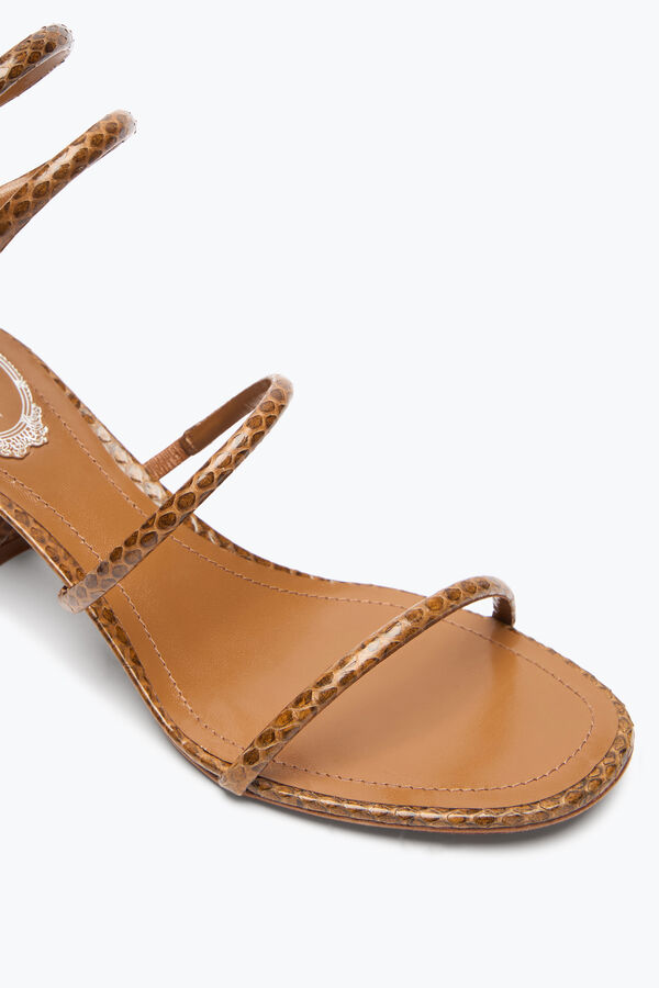 jeweled cleo cognac ayers-leder sandale 50 rene caovilla