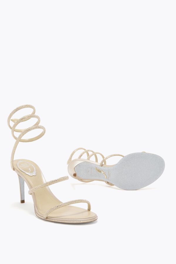jeweled cleo champagne sandale 80 rene caovilla