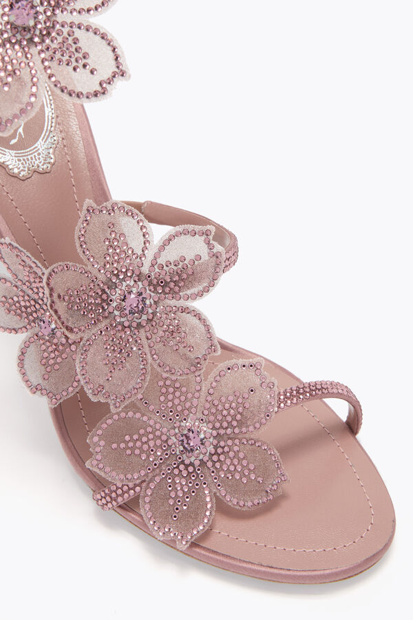 jeweled pfirsich blume blush pink sandal 80 rene caovilla