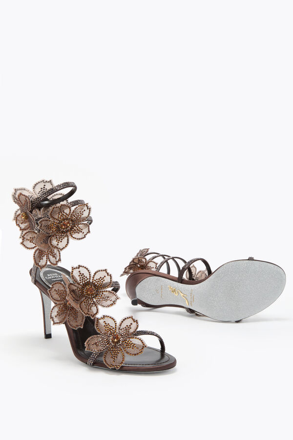 jeweled pfirsich blume schokolade sandale 80 rene caovilla