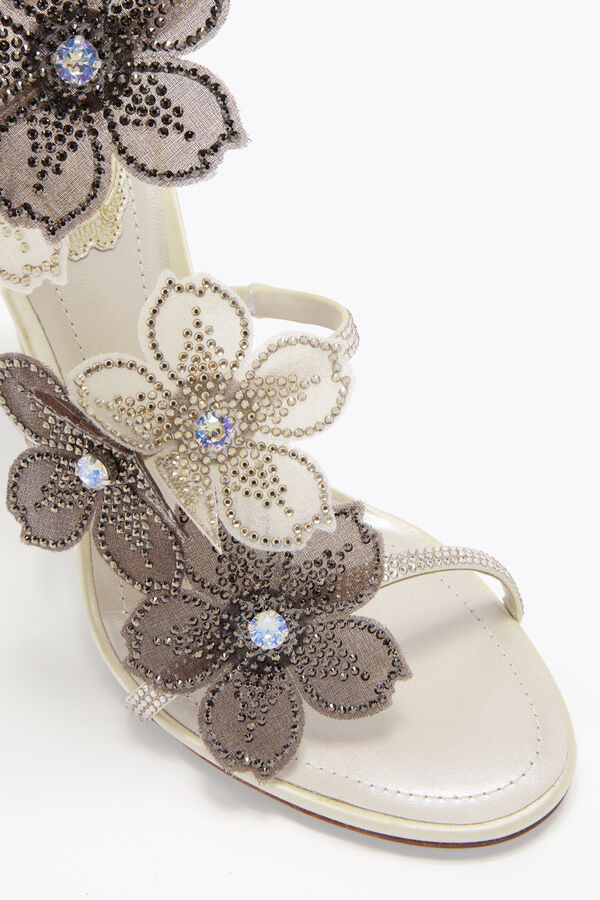 jeweled pfirsich blume elfenbein und grau sandale 105 rene caovilla
