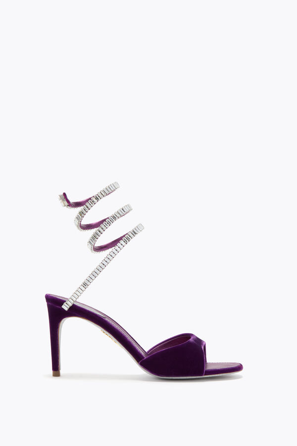 jeweled funken sandale in porpora velvet 80 rene caovilla
